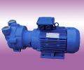 Water Vacuum Pump for Milking  Machine 