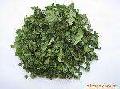 dehydrated celery leaves