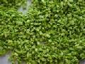 freeze dried green bell pepper