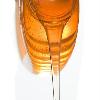HIGH  FRUCTOSE   SYRUP ( F55 )
