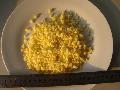 frozen ginger dices