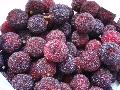 fresh waxberry for EU market