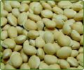 Whole Vaal Beans