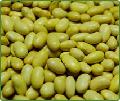 Peruanito Beans