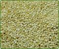 Quinoa