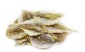  Dried   yellow   stripe  fish fillet