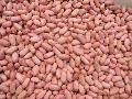 peanut kernel 28/32