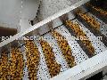  Fruit   Processing   Line 
