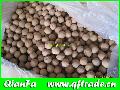  Dried   longan 