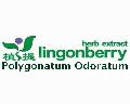 polygonatum odoratum extract