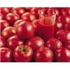Tomato lycopene