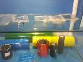 Pharmaceutical Foil for Infusion Bag