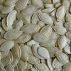 Snow White Pumpkin Seed
