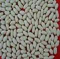 Blanched Peanut Kernels