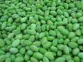 soybean kernel