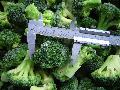 Frozen broccoli florets
