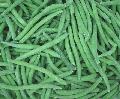 IQF green bean