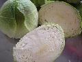 Fresh round  cabbage 