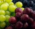 Fresh Grape