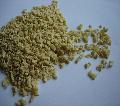 Textured Soya Protein