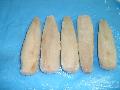blue whiting