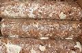 Shiitake logs(SPAWN)