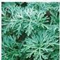 Arteannuin