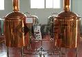 Hotel beer brewing equipment