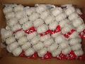 garlic in 10kg carton