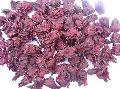 Dried hibiscus flower