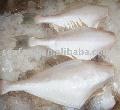 Frozen Leather Jacket Fish