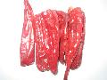  Yidu  Chilli