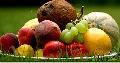 Fresh Orange, Fresh Lemons, Grapefruit, Cantaloupe, Grapes