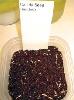  CANOLA   SEED S