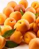 canned  apricot  in  halves 