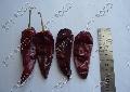 CHILI/ CHILLI   YIDU ,DRY CHILI