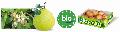 Fresh pomelo