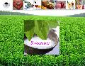 Stevia Rebaudioside A