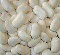 large white kidney bean
