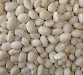  small   white   kidney  bean