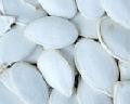 Pumpkin Seeds