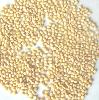 pinenuts