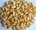 pine nut out shell