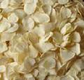 dehydrated garlic