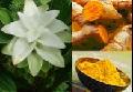 Curcumin