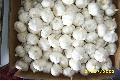 Pure white garlic