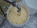 frozen garlic puree