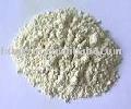 rice protein concentrate