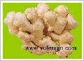 fresh ginger