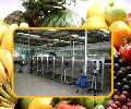 Fruit juice Production Line, Fruit juice Processing Line, Beverage Machinery